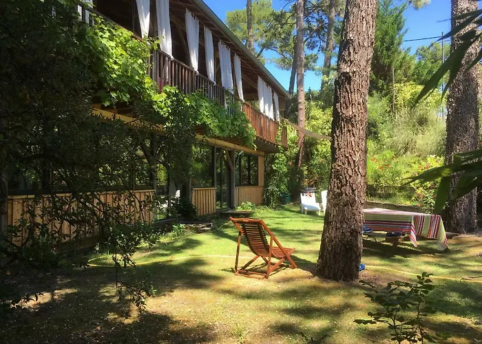 la maison face au port