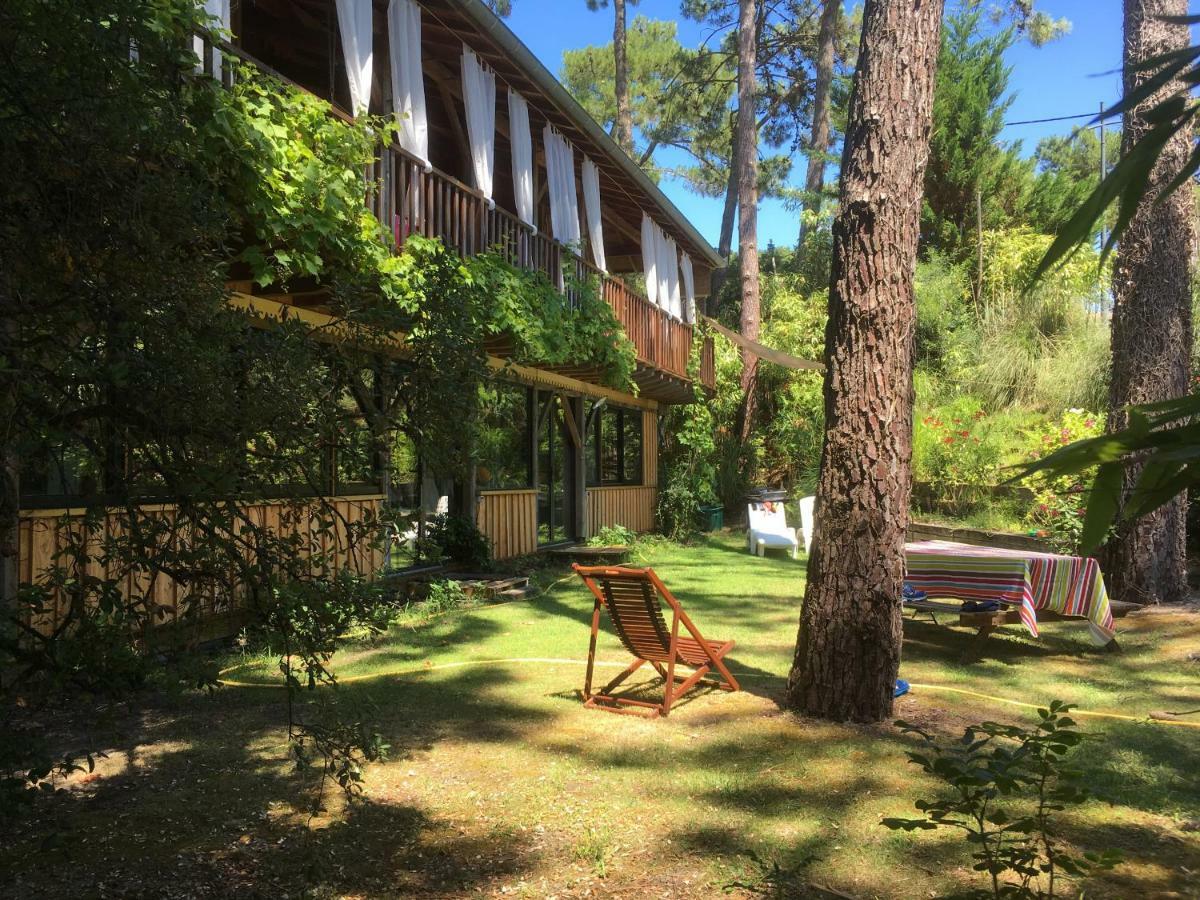 La Maison Face Au Port Appartement *