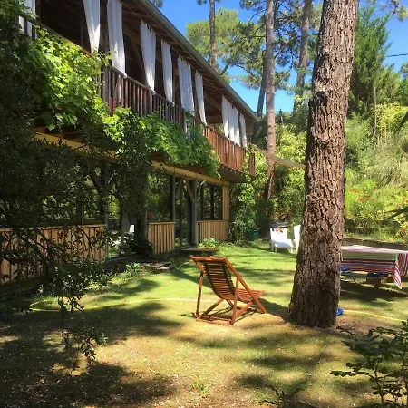 La Maison Face Au Port Lège-Cap-Ferret Exterior foto